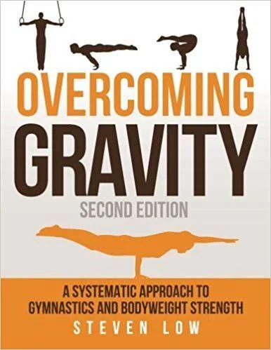 #3 Overcoming Gravity, by Steven Low