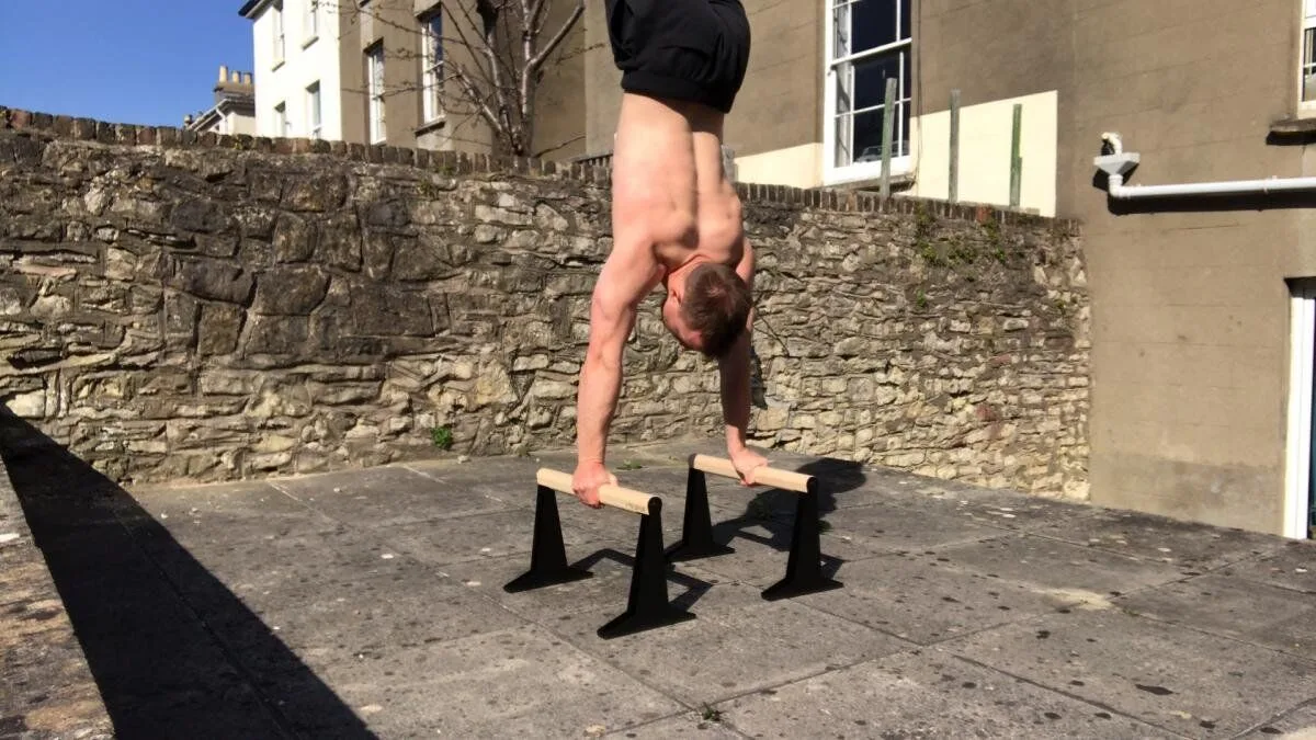 PULL UP AND DIP Parallettes - Handstand