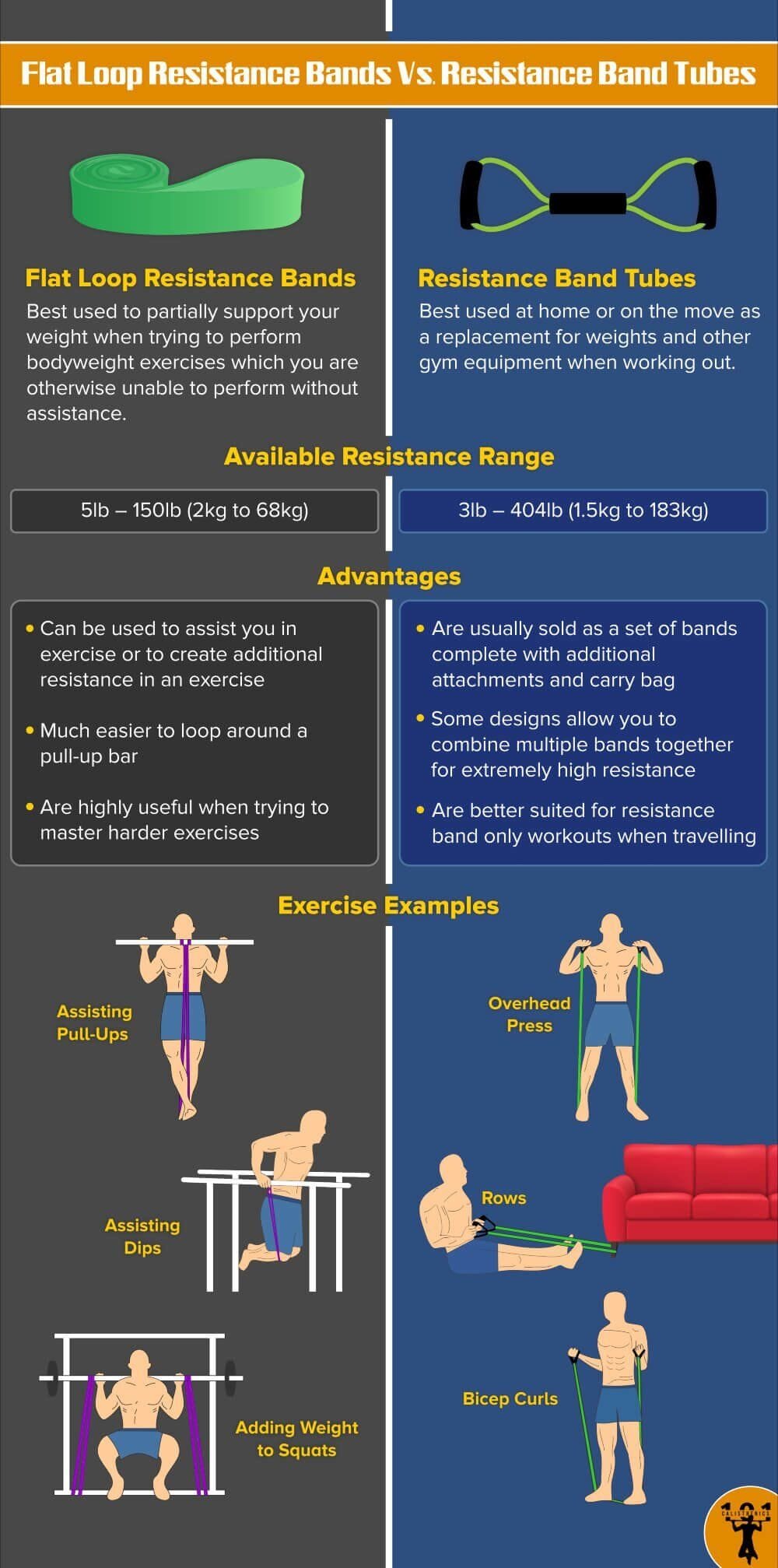 Bandes de résistance à boucle plate contre. Tubes à bande de résistance - Infographie Calisthenics 101