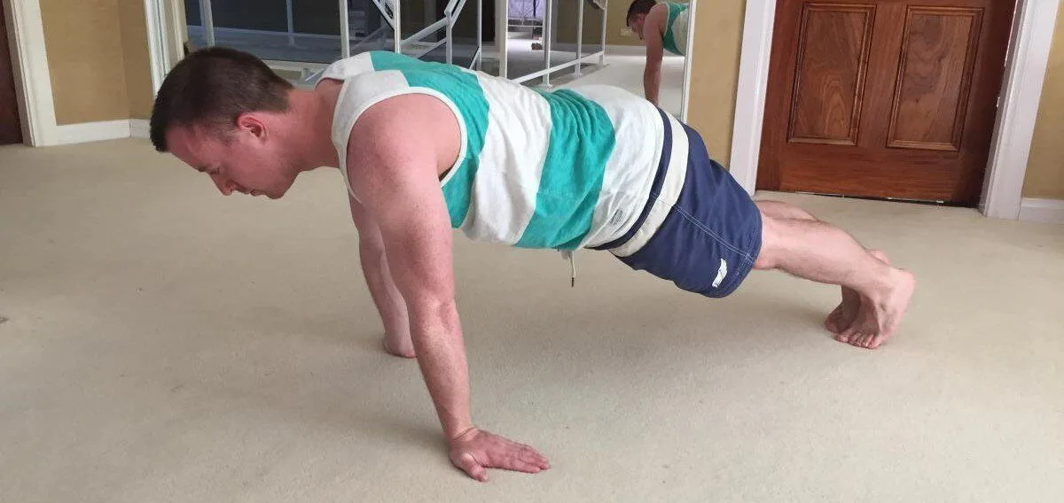 Planche Push-Ups - Image 1 of 2