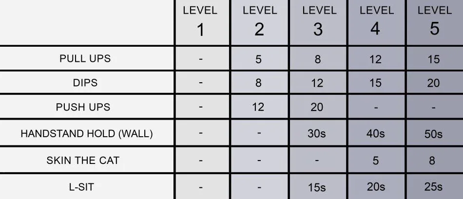 Calisthenics Movement Requirements Chart Showing Progression Levels 1-5 for Pull-ups, Dips, Push-ups, Handstand Hold, Skin the Cat, and L-Sit Exercises