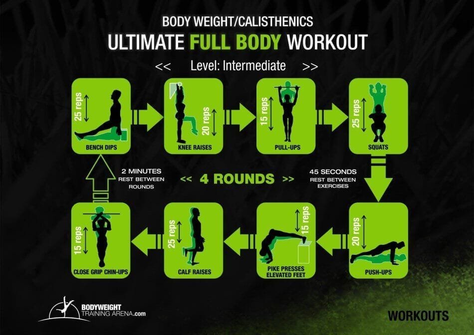 Free Calisthenics Workout Plan Store Fabricadascasas