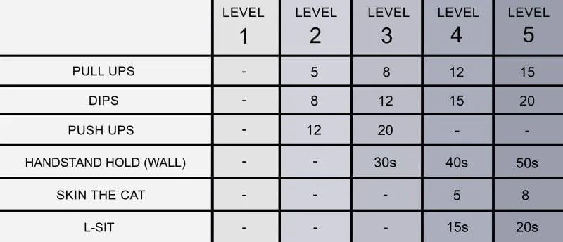 Complete Calisthenics Level 1-5 - Requirements