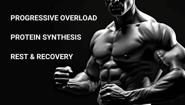 Black and white image highlighting muscular upper body, illustrating fundamental muscle building principles in calisthenics